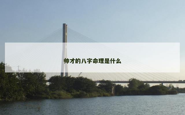 帅才的八字命理是什么