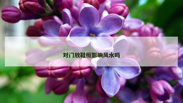 对门放鞋柜影响风水吗