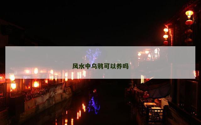 风水中乌鸦可以养吗