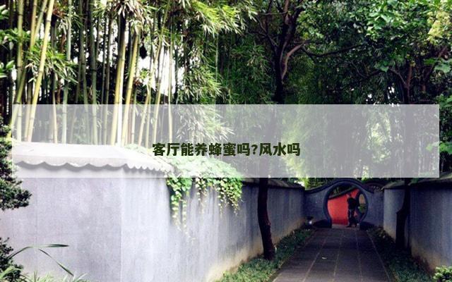 客厅能养蜂蜜吗?风水吗