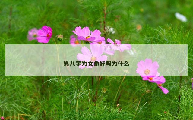 男八字为女命好吗为什么