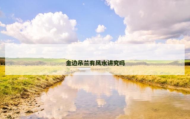金边吊兰有风水讲究吗