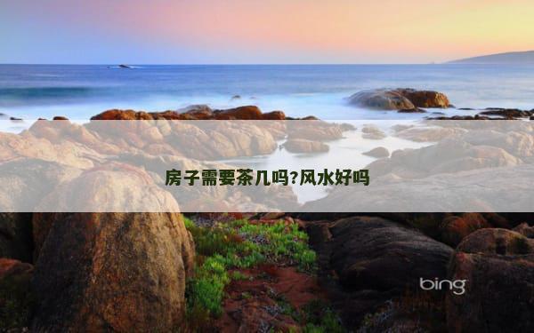 房子需要茶几吗?风水好吗