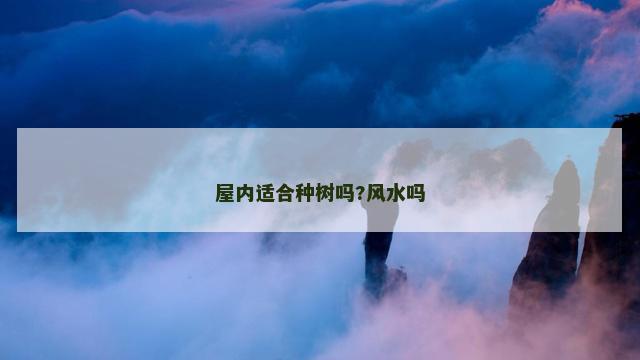 屋内适合种树吗?风水吗