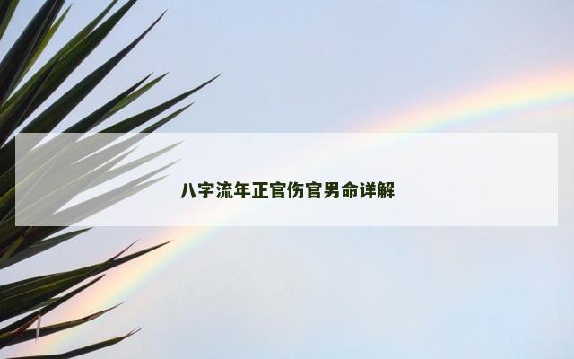 八字流年正官伤官男命详解