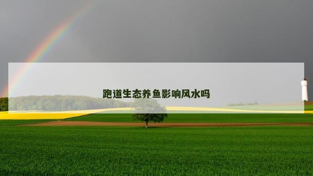 跑道生态养鱼影响风水吗