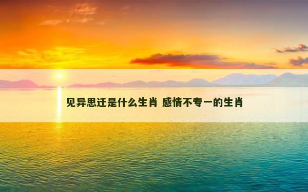 见异思迁是什么生肖 感情不专一的生肖