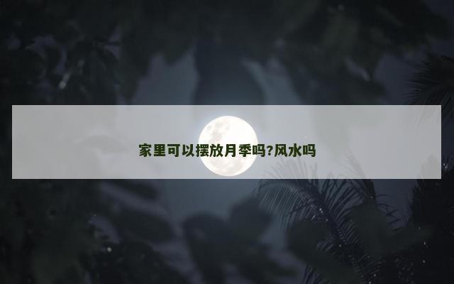 家里可以摆放月季吗?风水吗