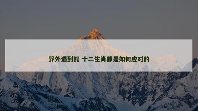 野外遇到熊 十二生肖都是如何应对的