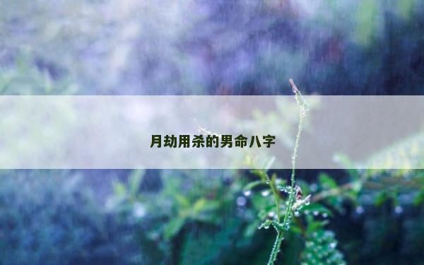 月劫用杀的男命八字