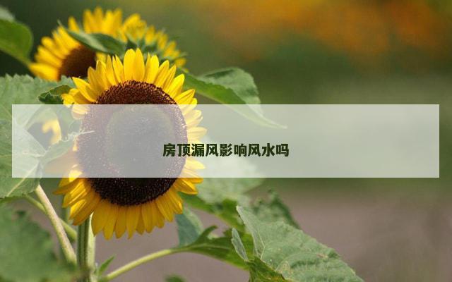 房顶漏风影响风水吗