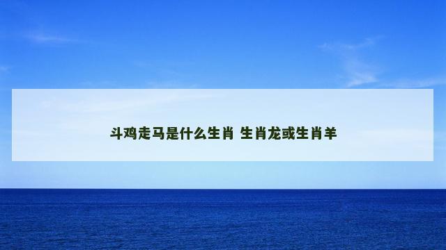 斗鸡走马是什么生肖 生肖龙或生肖羊