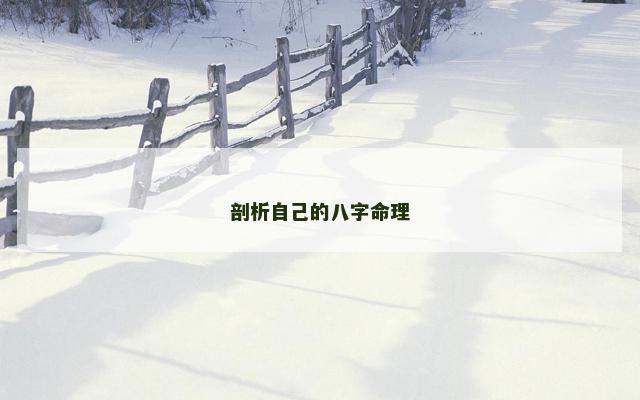 剖析自己的八字命理