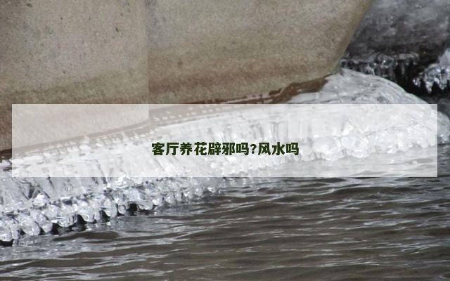 客厅养花辟邪吗?风水吗