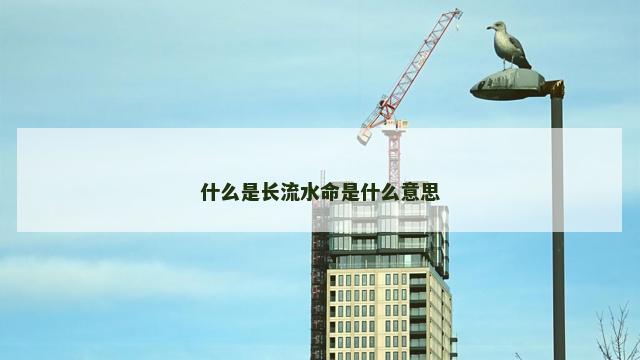 什么是长流水命是什么意思