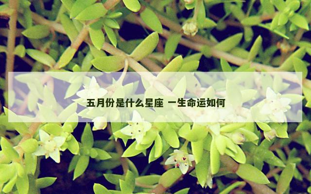 五月份是什么星座 一生命运如何