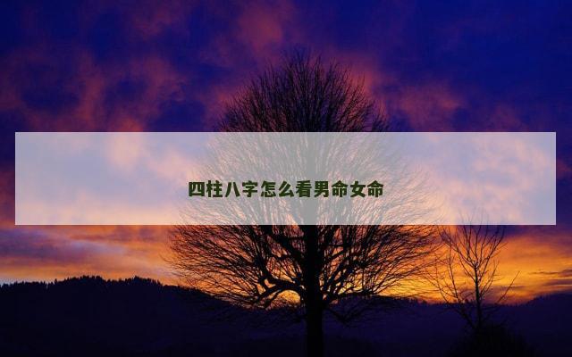四柱八字怎么看男命女命