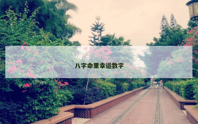 八字命里幸运数字