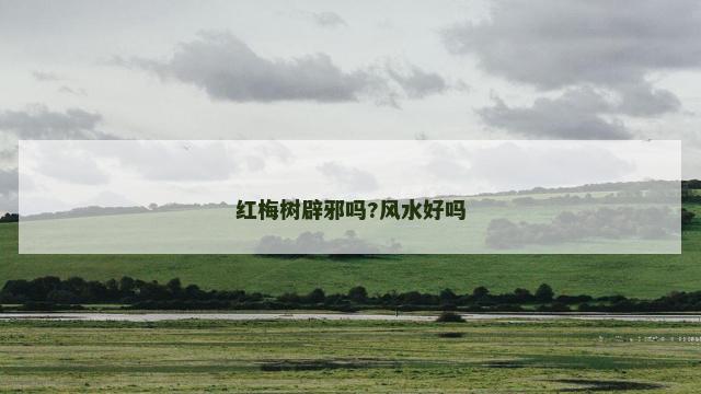 红梅树辟邪吗?风水好吗