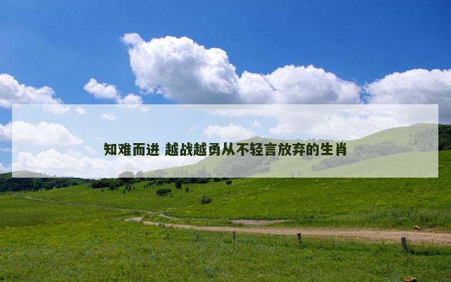 知难而进 越战越勇从不轻言放弃的生肖