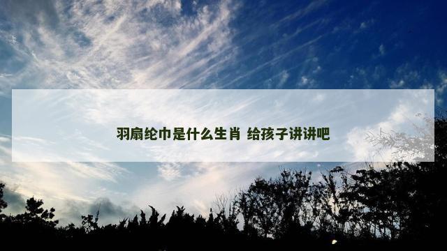 羽扇纶巾是什么生肖 给孩子讲讲吧