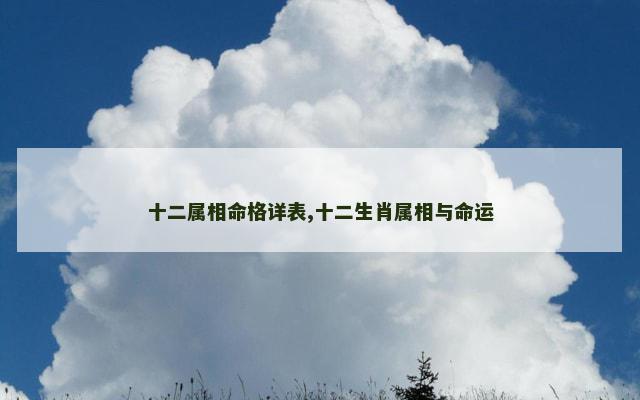 十二属相命格详表,十二生肖属相与命运