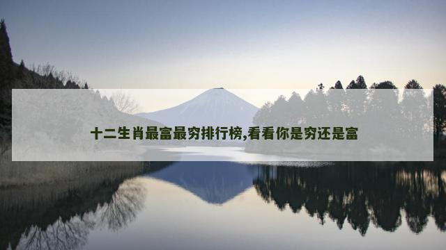 十二生肖最富最穷排行榜,看看你是穷还是富