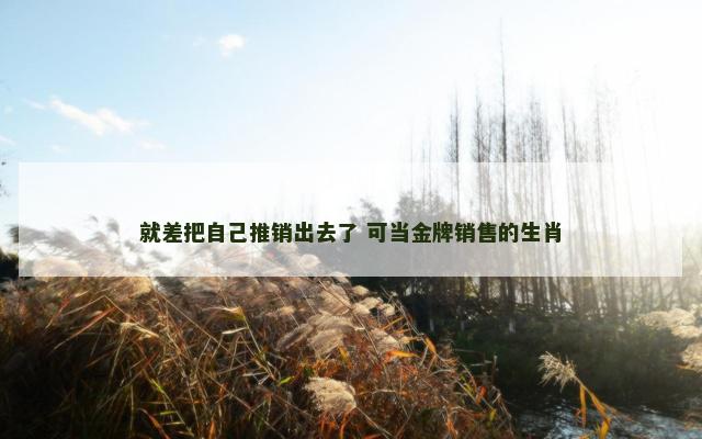 就差把自己推销出去了 可当金牌销售的生肖