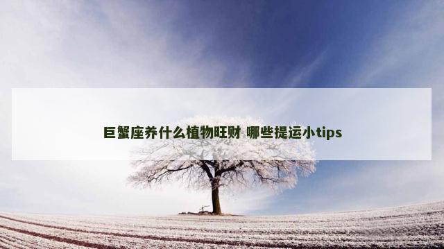 巨蟹座养什么植物旺财 哪些提运小tips