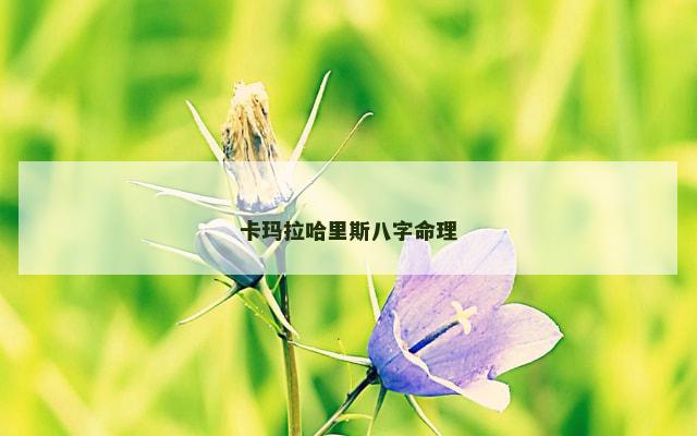 卡玛拉哈里斯八字命理