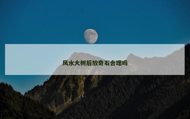 风水大树后放奇石合理吗