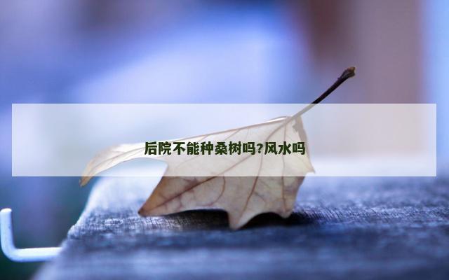 后院不能种桑树吗?风水吗