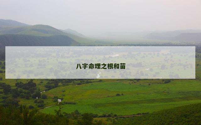 八字命理之根和苗