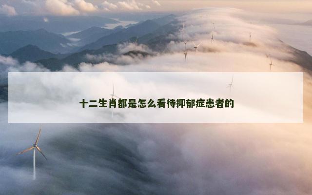 十二生肖都是怎么看待抑郁症患者的