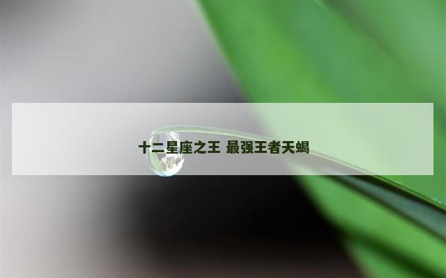 十二星座之王 最强王者天蝎