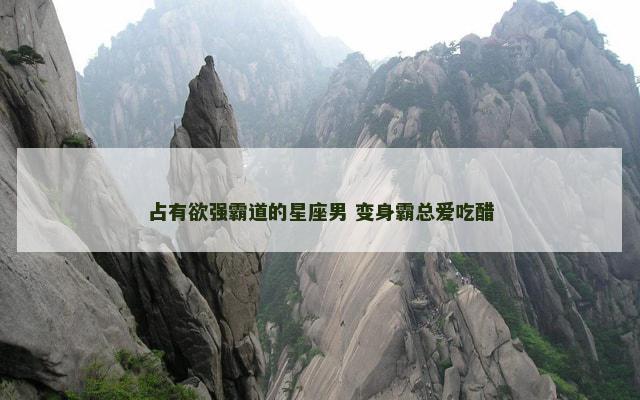 占有欲强霸道的星座男 变身霸总爱吃醋