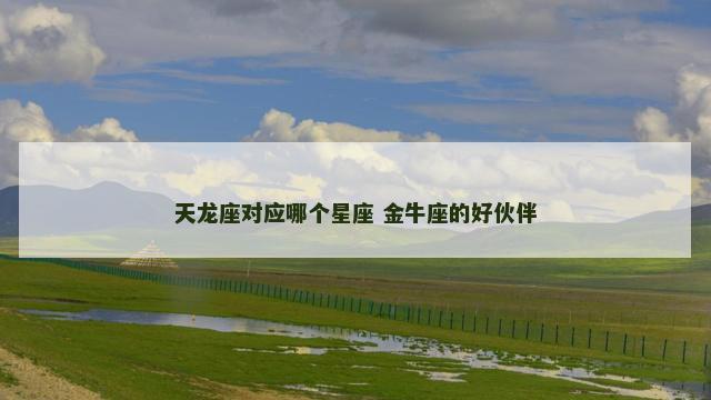 天龙座对应哪个星座 金牛座的好伙伴