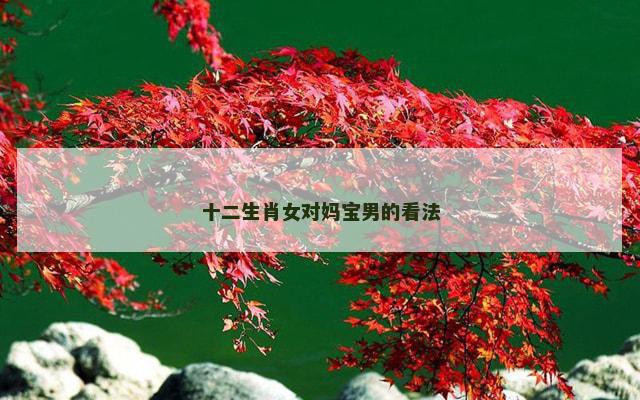 十二生肖女对妈宝男的看法