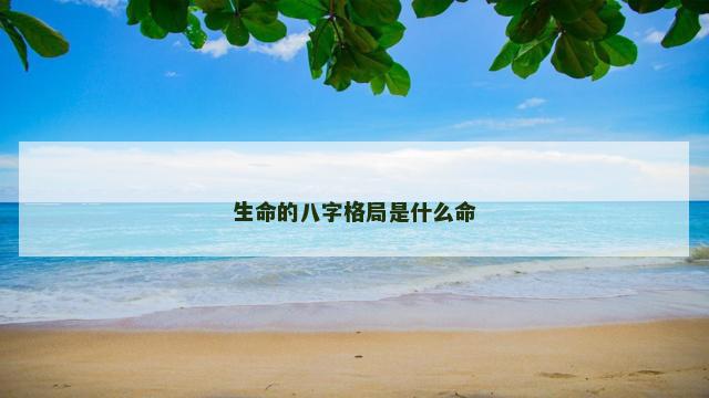 生命的八字格局是什么命