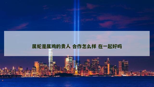 属蛇是属鸡的贵人 合作怎么样 在一起好吗