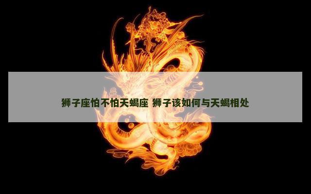 狮子座怕不怕天蝎座 狮子该如何与天蝎相处