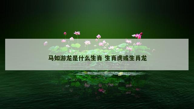马如游龙是什么生肖 生肖虎或生肖龙