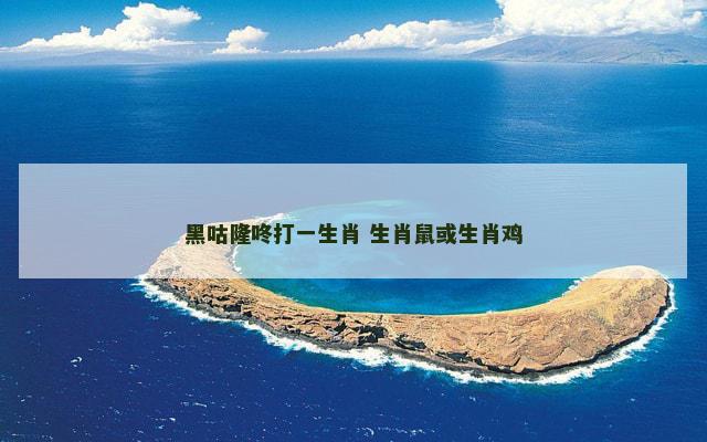 黑咕隆咚打一生肖 生肖鼠或生肖鸡