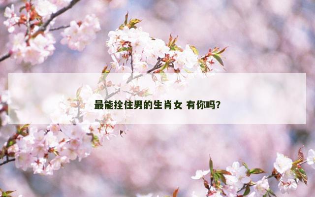 最能拴住男的生肖女 有你吗？