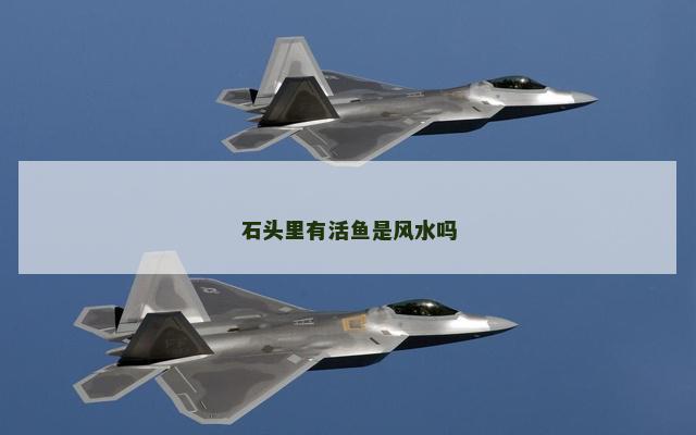 石头里有活鱼是风水吗
