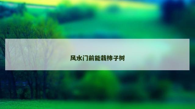 风水门前能栽柿子树