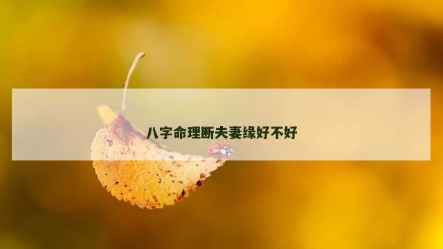 八字命理断夫妻缘好不好