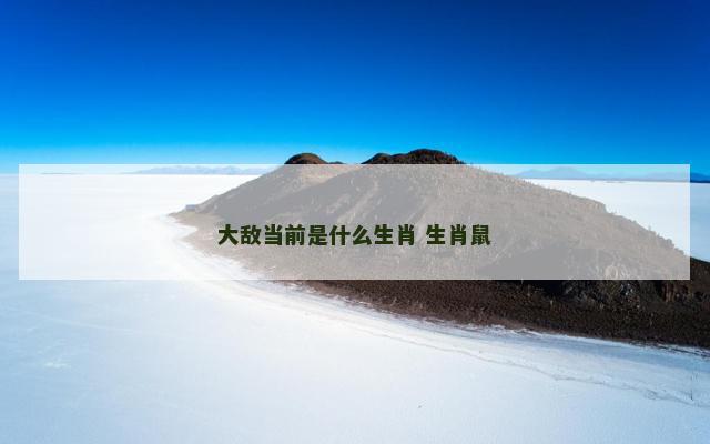 大敌当前是什么生肖 生肖鼠