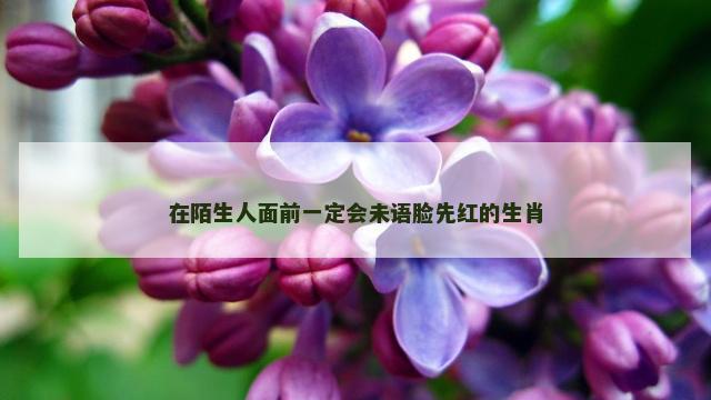 在陌生人面前一定会未语脸先红的生肖