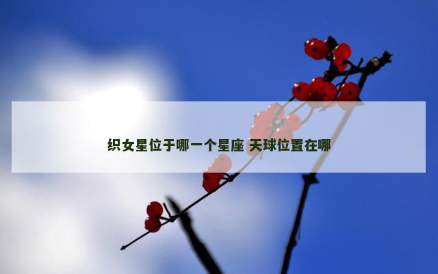 织女星位于哪一个星座 天球位置在哪